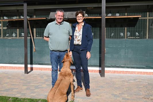 Niels Broeck de Oud-Turnhout remporte le 1er National Bourges III dans 26 549 Pigeonneaux