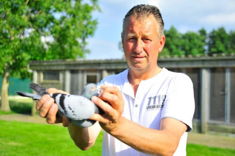 Gino Clicque de Wevelgem 1er Provincial pigeonneaux West Vlaanderen  Montoire contre 4 702 pigeons