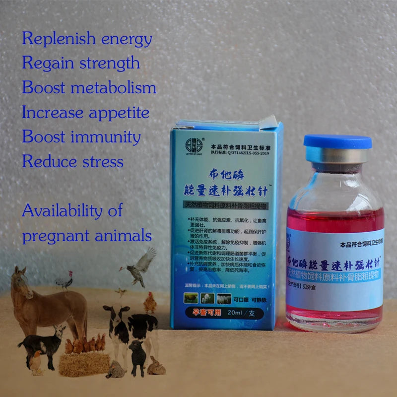 Rapid Energy Supplement: Boost the health and performance of your poultry!