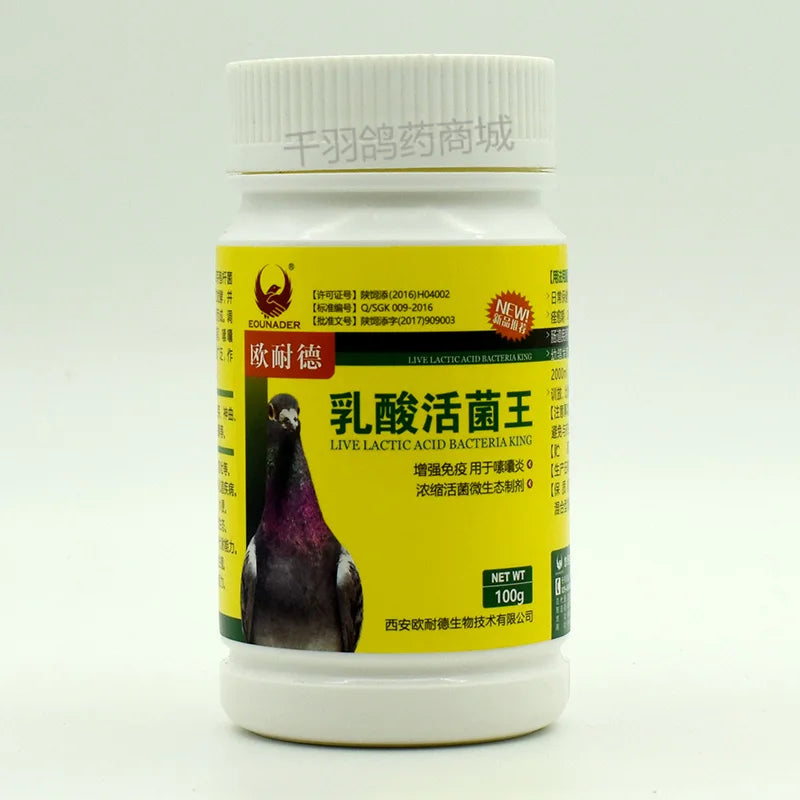 Pigeons in great shape: Lactobacillus King, your ally for optimal intestinal health!