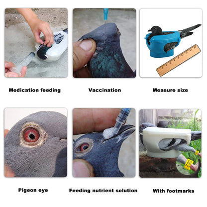 Support de oiseaux en plastique à cadre fixe pour facilement alimenté ou soigné.