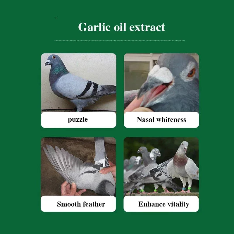 Huile d'ail pour pigeons voyageurs : La clé d'une santé intestinale optimale et de performances accrues 500 ml !