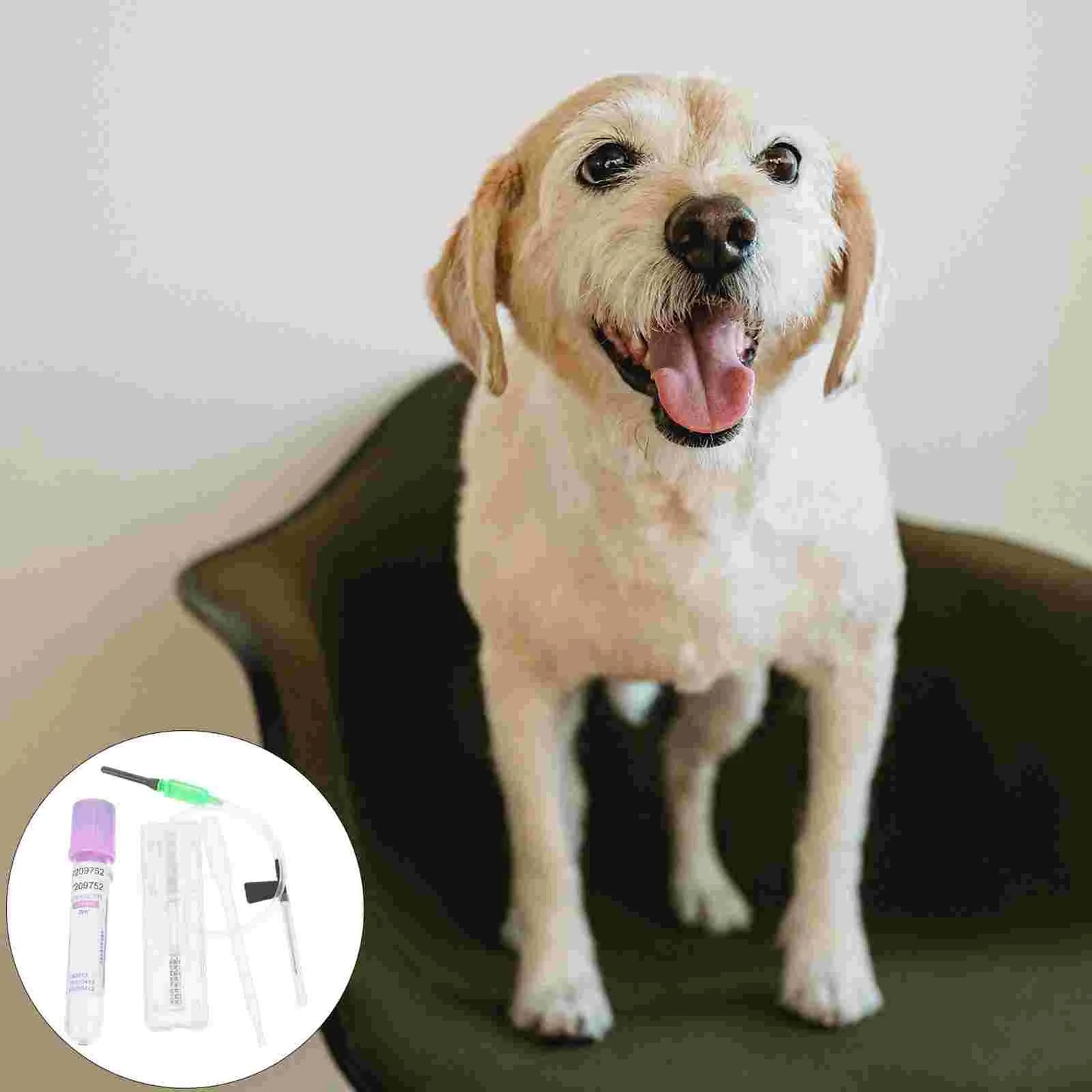 Pet Pregnancy Test Equipment