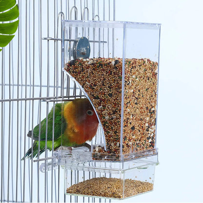 Mangeoires automatiques en acrylique pour oiseaux.