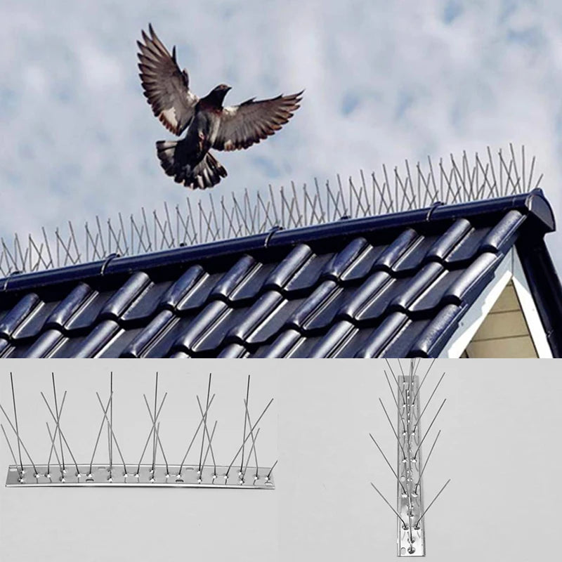 Protect your property from pigeons with stainless steel anti-pigeon spikes!