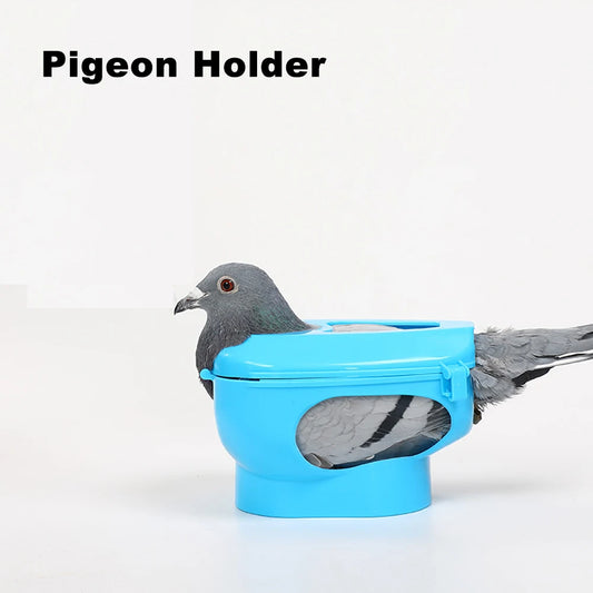 Support de oiseaux en plastique à cadre fixe pour facilement alimenté ou soigné.