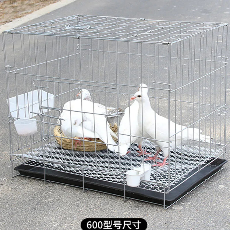 Large Foldable Metal Cage for Pigeons, Doves and Birds: A Comfortable and Portable Space for Your Feathered Pets!