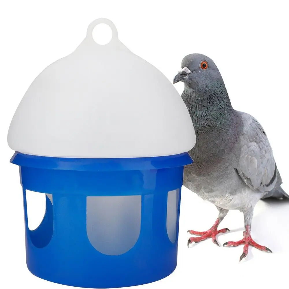 Abreuvoir Pratique pour Pigeons - Eau Fraîche et Hygiène Assurées !