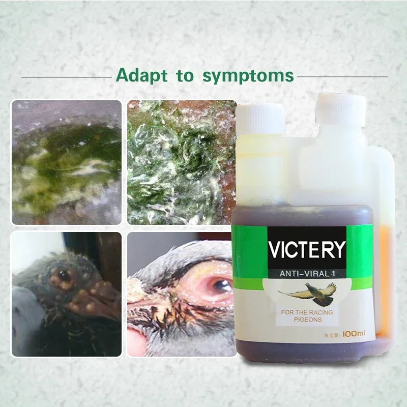 Green Diarrhea, Salmonella and E. Coli? This Pigeon Treatment is the Solution!