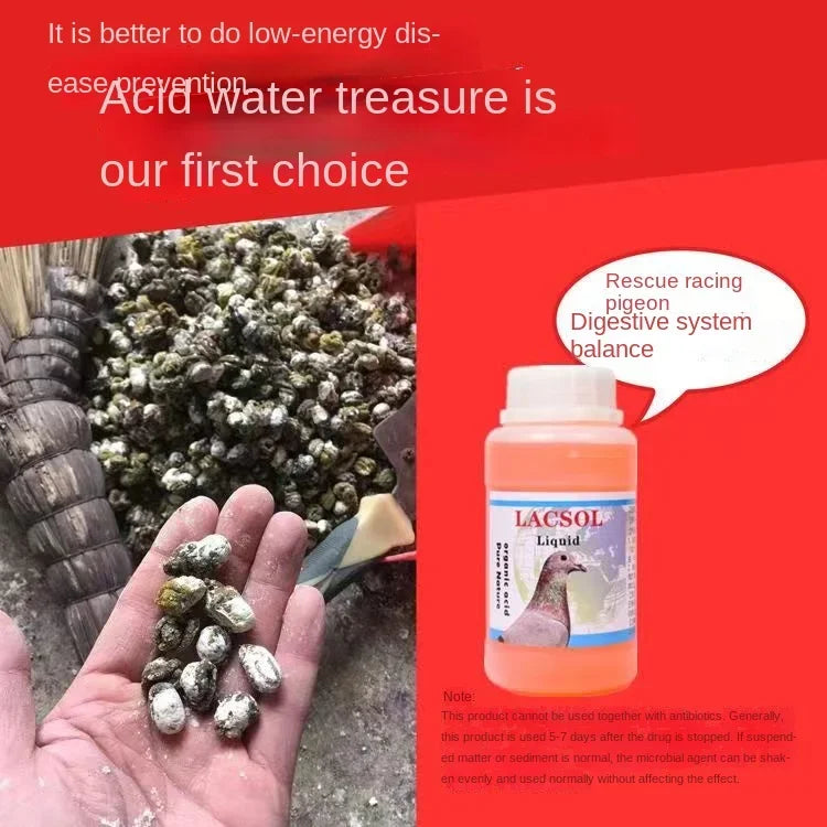 Acidic Water Treasure for Pigeons: The Key to Optimal Digestion and Improved Health!, Live Bacteria