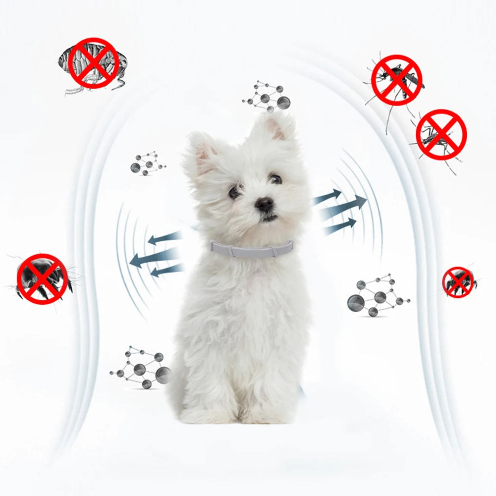 Collier anti- puces pour chiens et chats, Protection naturelle de 8 mois, réglable.