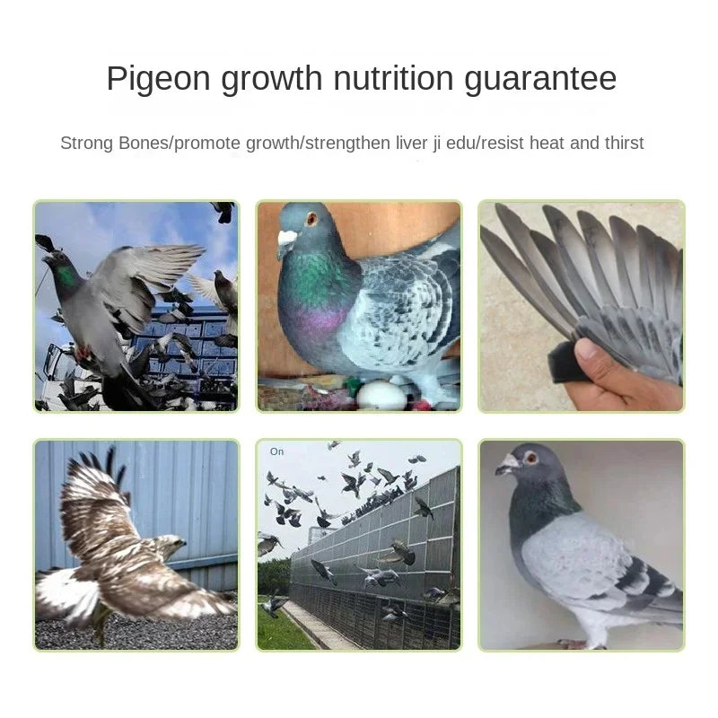 Pigeon Liver Essentials - Vitality and Fertility 