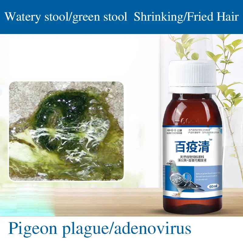 Green diarrhea, Newcastle viral diseases, Bursitis and bacterial diseases? This pigeon medicine is the solution!