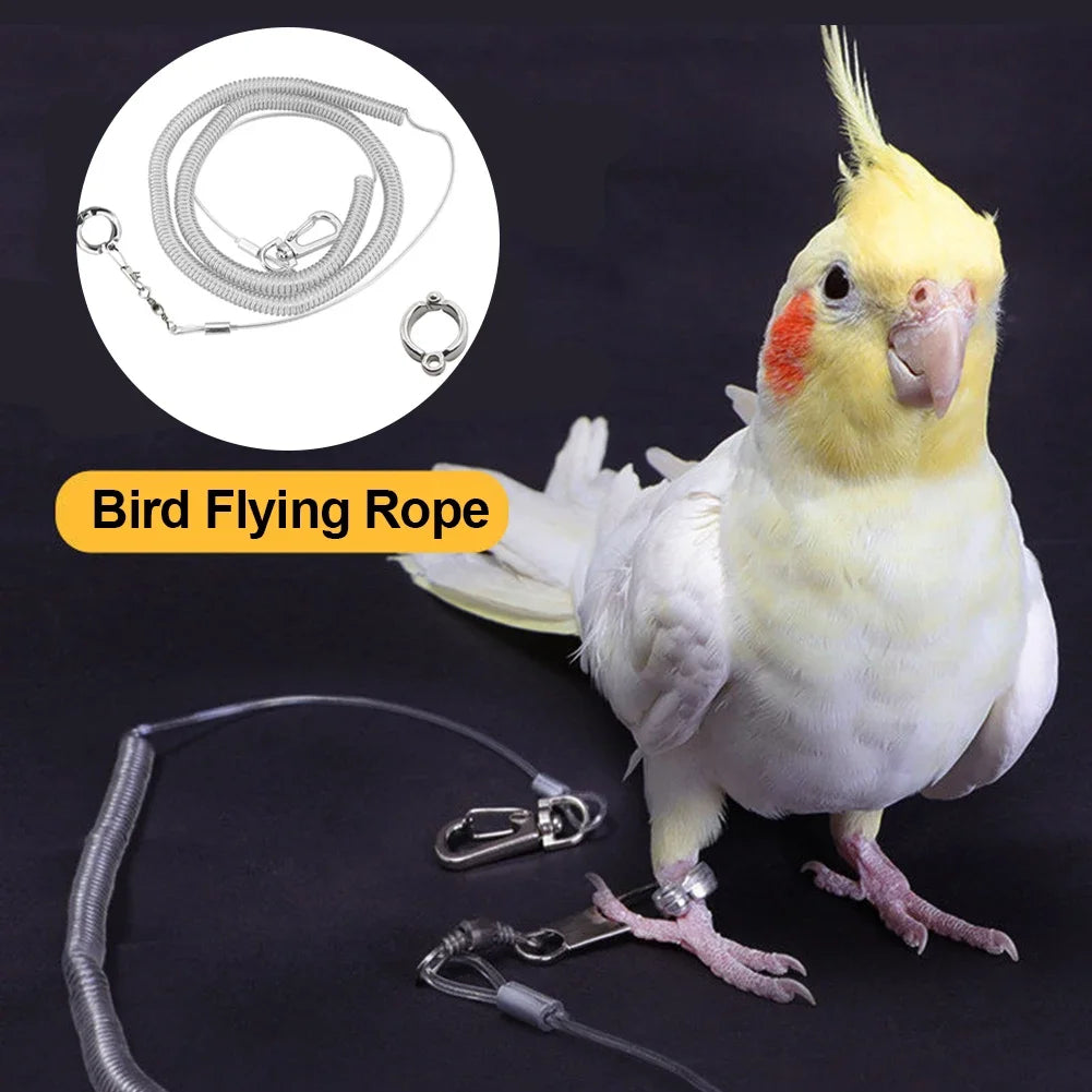 Chaîne de pied, corde de Traction Anti-vol, anneau de pied en alliage, laisse d'entraînement pour oiseaux