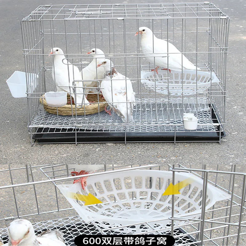 Grande Cage Pliable en Métal pour Pigeons, Colombes et Oiseaux : Un Espace Confortable et Portable pour Vos Animaux à Plumes !