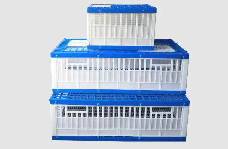 Transport your pigeons safely and comfortably with our foldable transport cage! 25-40 Pigeons 