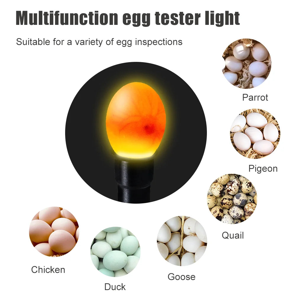 Guaranteed Successful Hatching: LED Incubator Candler Lamp - Cold Light &amp; Egg Tester!