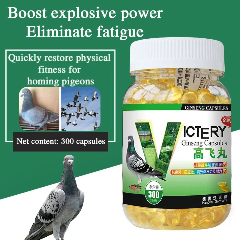 Pigeon Energy Boost - Explosiveness, Recovery &amp; Vitality 