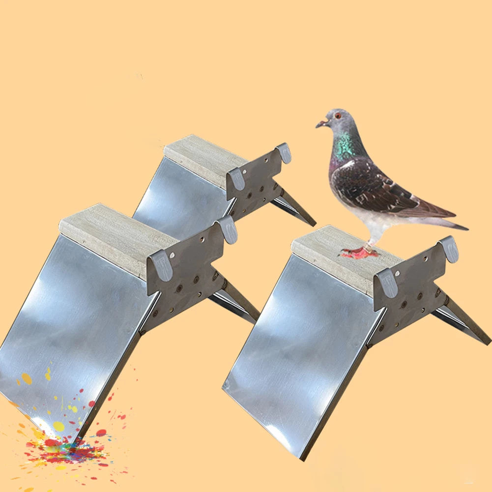 Nouveau perchoir à Pigeons, support en acier inoxydable