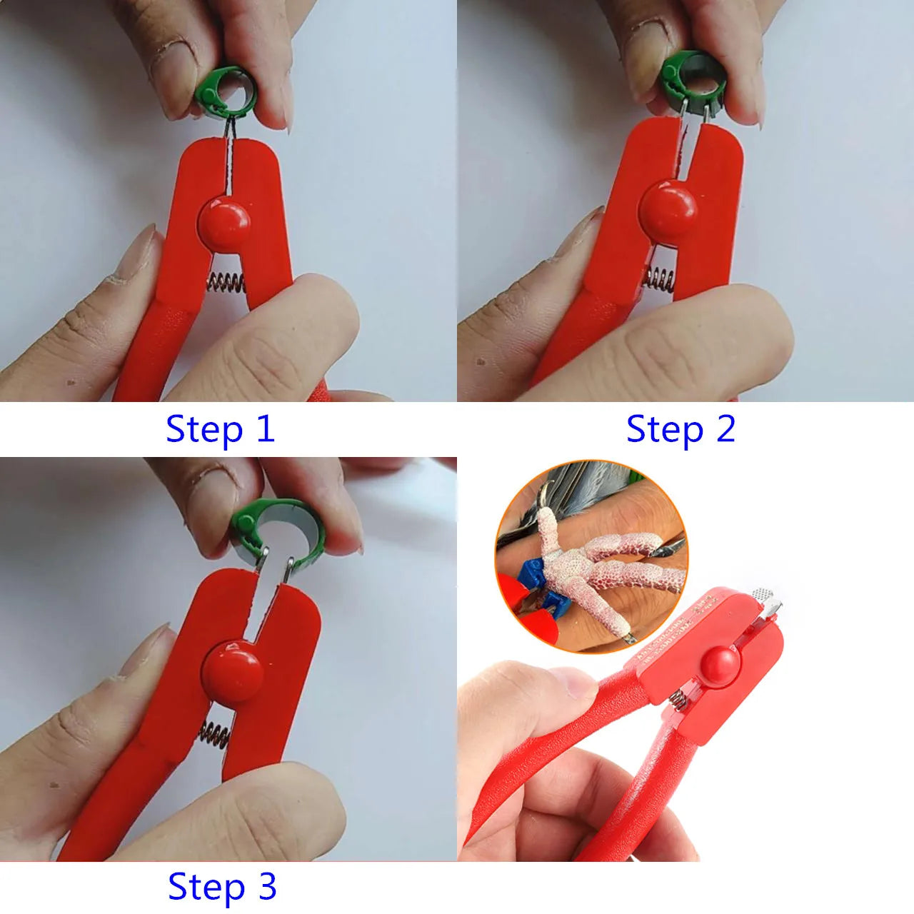 Professional Pigeon Electronic Ring Pliers - Remove Rings Easily and Safely!