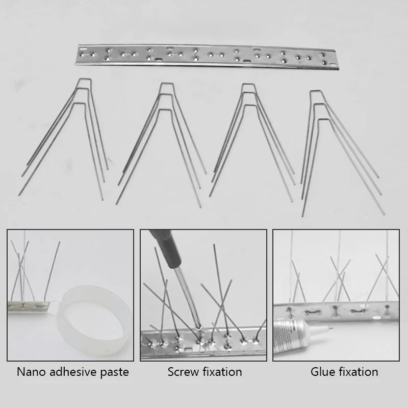 Protégez votre propriété de vos pigeons avec des pointes anti-pigeons en acier inoxydable !