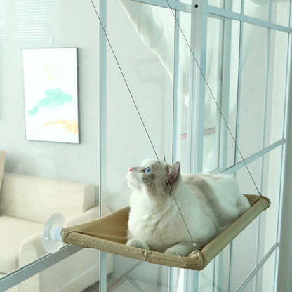 Hamac aérien suspendu pour chat, cadre d'escalade pour chaton, siège de fenêtre ensoleillé, roulement de nid, 20kg, accessoires pour animaux de compagnie.