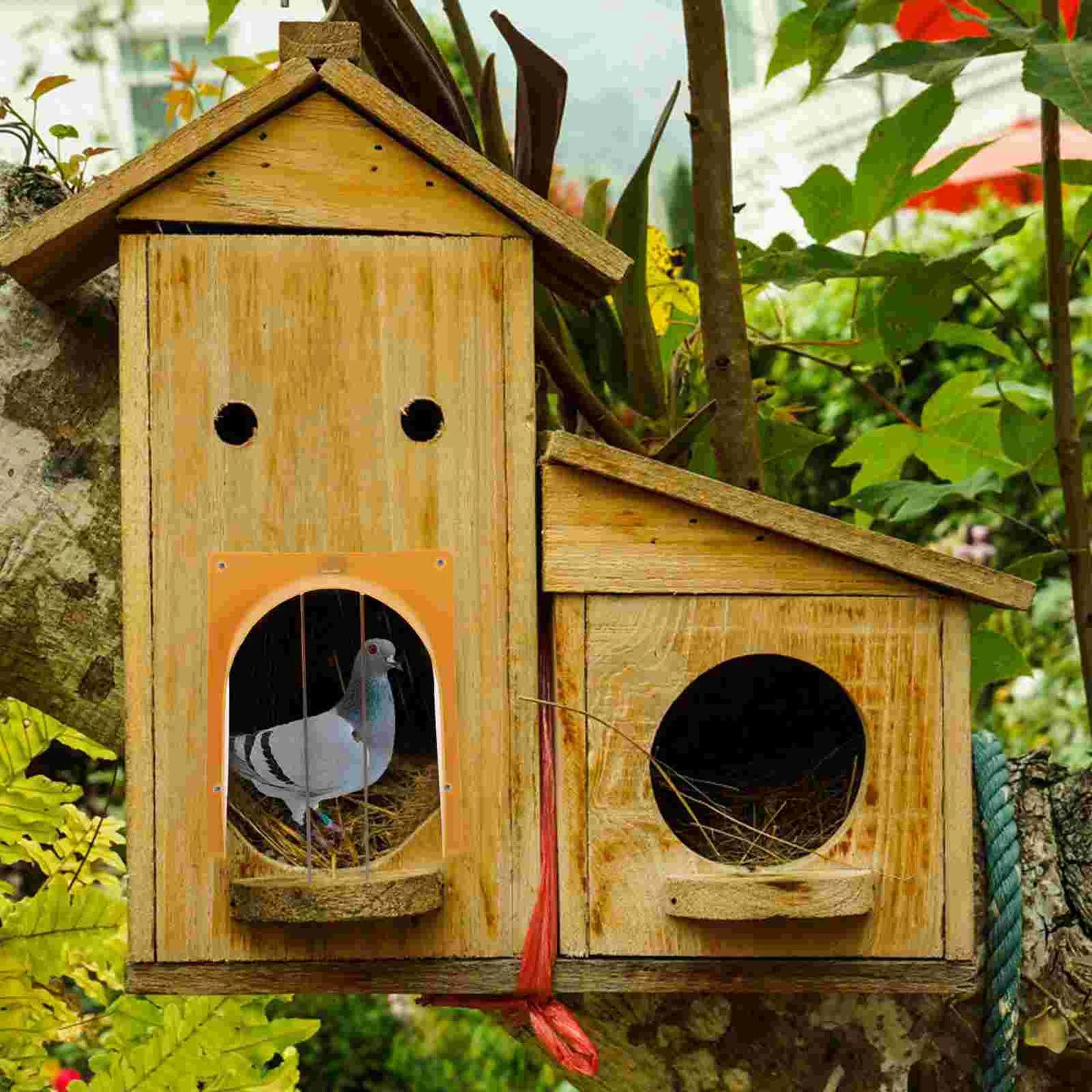 Dovecote Entrance for Pigeons: Easy and Secure Access for Your Pigeons!