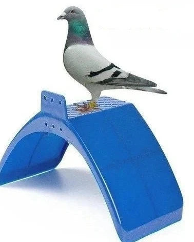 Pigeon Perches - Give Your Birds a Comfortable and Safe Space!