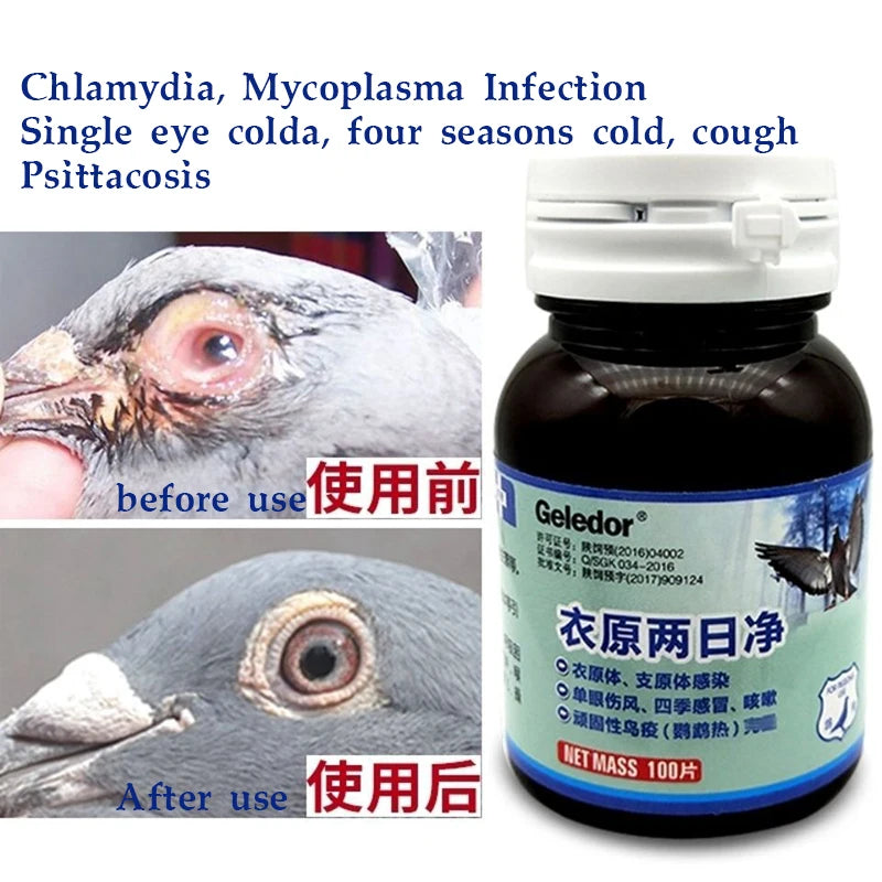 Chlamydia, infected eyes, cough and cold? This pigeon treatment is the 100 tablet solution!