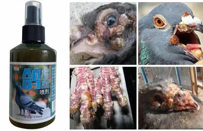 Protect your pigeons against smallpox and other diseases with this insecticide spray!