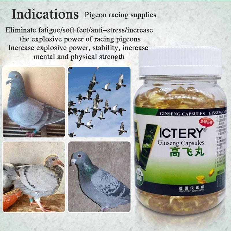 Pigeon Energy Boost - Explosiveness, Recovery &amp; Vitality 