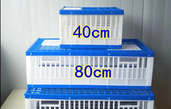 Transport your pigeons safely and comfortably with our foldable transport cage! 25-40 Pigeons 