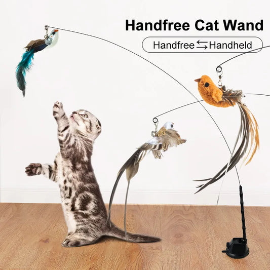 Baguette mains libres, oiseau/plume pour chat, avec cloche, ventouse puissante, jouets interactifs.