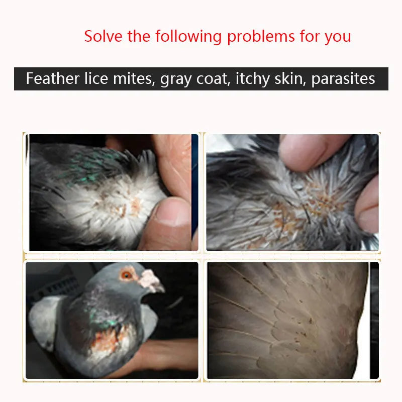 Anti-Parasites Pigeons : Protégez vos Pigeons des Puces, Acariens, Vers et Plus Encore !